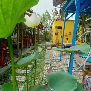 The Natural Hội An